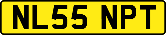 NL55NPT