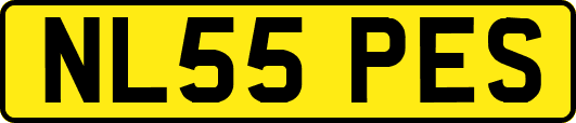NL55PES
