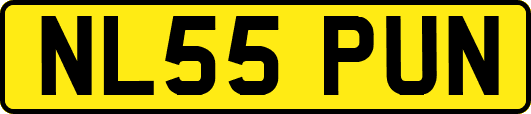 NL55PUN