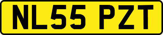 NL55PZT