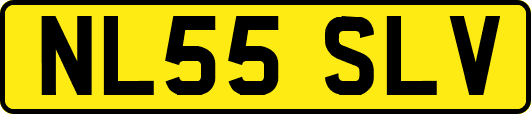 NL55SLV