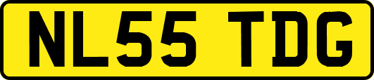 NL55TDG