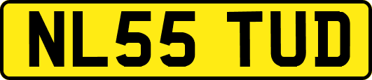 NL55TUD