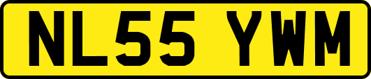 NL55YWM