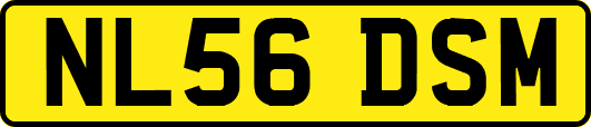 NL56DSM