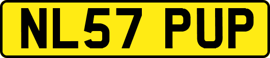 NL57PUP