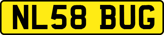 NL58BUG