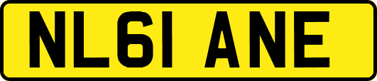 NL61ANE