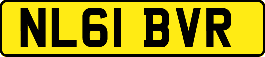 NL61BVR