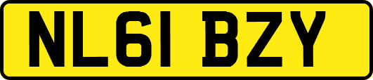 NL61BZY