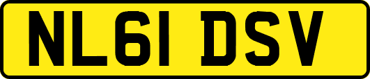NL61DSV