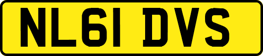 NL61DVS