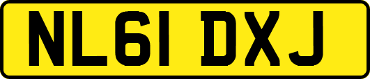 NL61DXJ