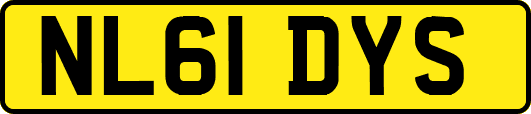NL61DYS