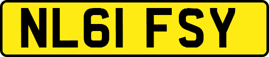 NL61FSY