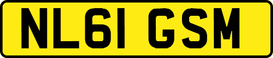 NL61GSM
