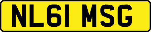 NL61MSG