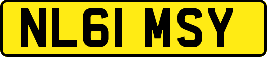 NL61MSY