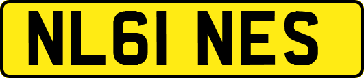 NL61NES