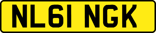NL61NGK