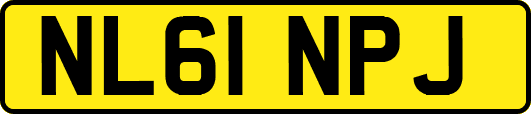 NL61NPJ