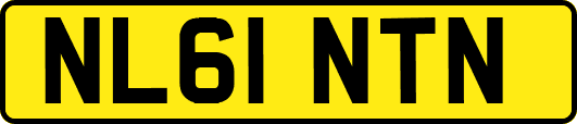 NL61NTN
