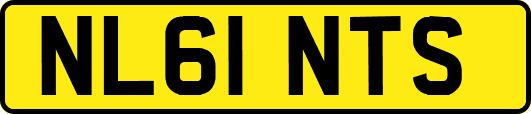 NL61NTS