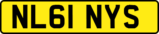 NL61NYS