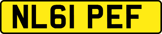 NL61PEF