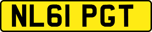 NL61PGT