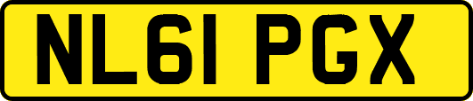 NL61PGX