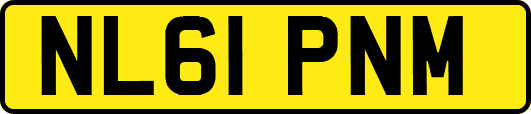 NL61PNM