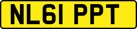 NL61PPT