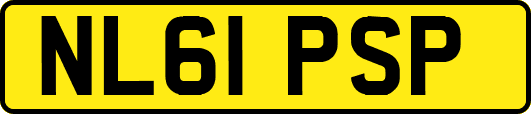 NL61PSP