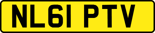 NL61PTV