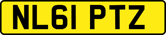 NL61PTZ