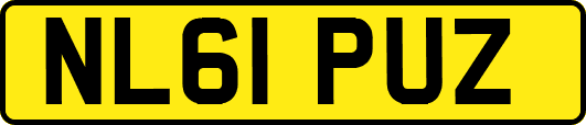 NL61PUZ