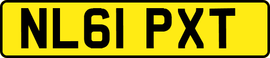NL61PXT