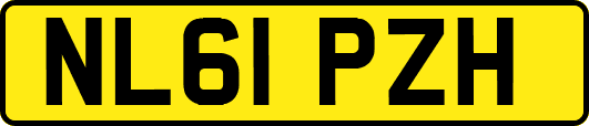 NL61PZH
