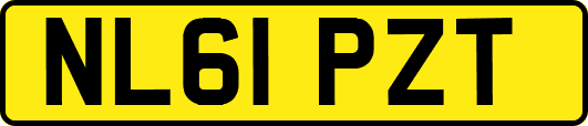 NL61PZT