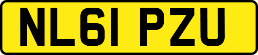 NL61PZU
