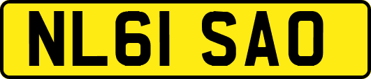 NL61SAO