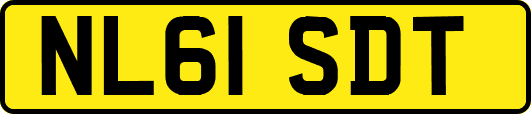 NL61SDT