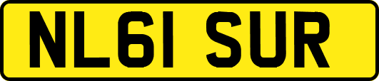 NL61SUR