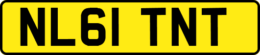 NL61TNT