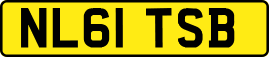 NL61TSB