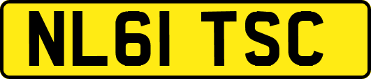 NL61TSC