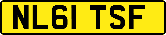 NL61TSF