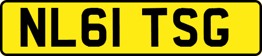 NL61TSG