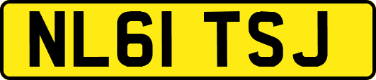 NL61TSJ